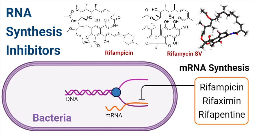 RNA-Synthesis-Inhibitors RNA Synthesis Inhibitors