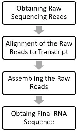 Analysis-of-RNA-Sequencing