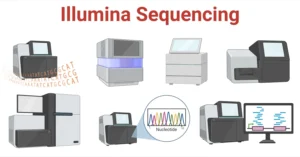 Illumina Sequencing: Principle, Steps, Uses, and Diagram Illumina-Sequencing
