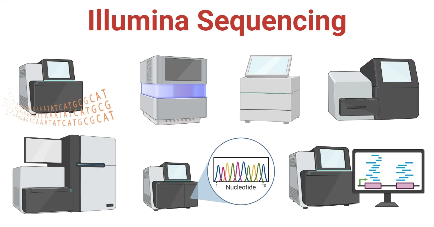 Illumina-Sequencing
