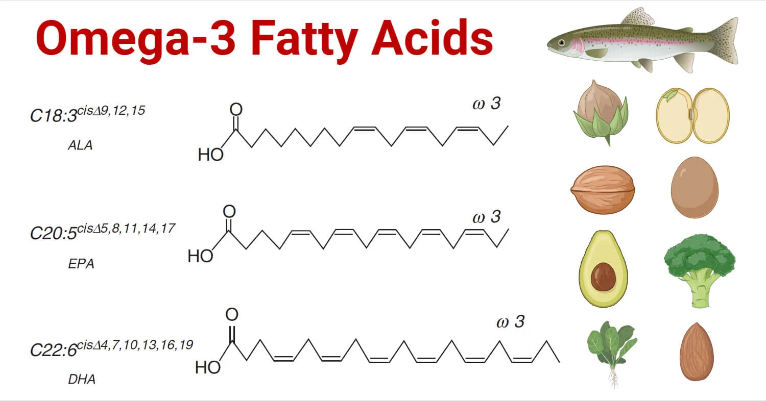 Omega-3-Fatty-Acids