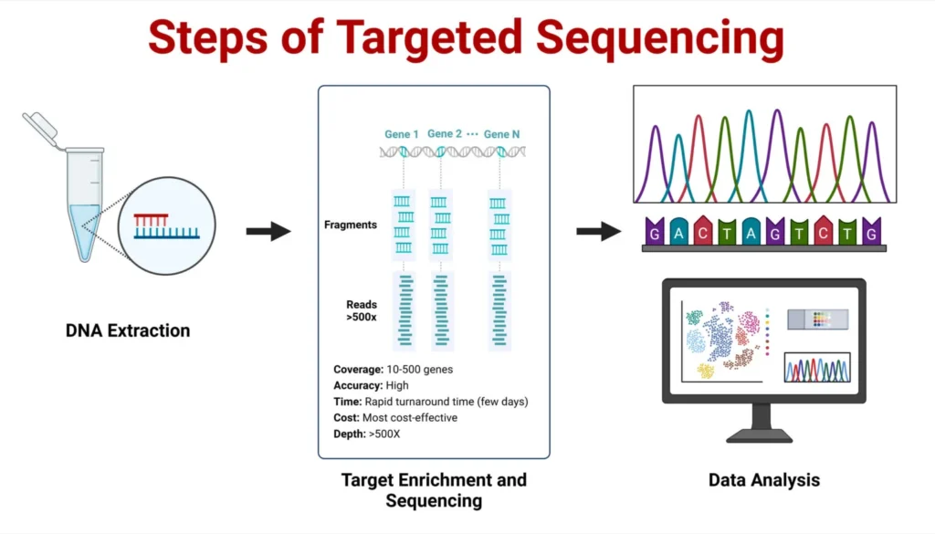 Steps-of-Targeted-Sequencing-1536x878