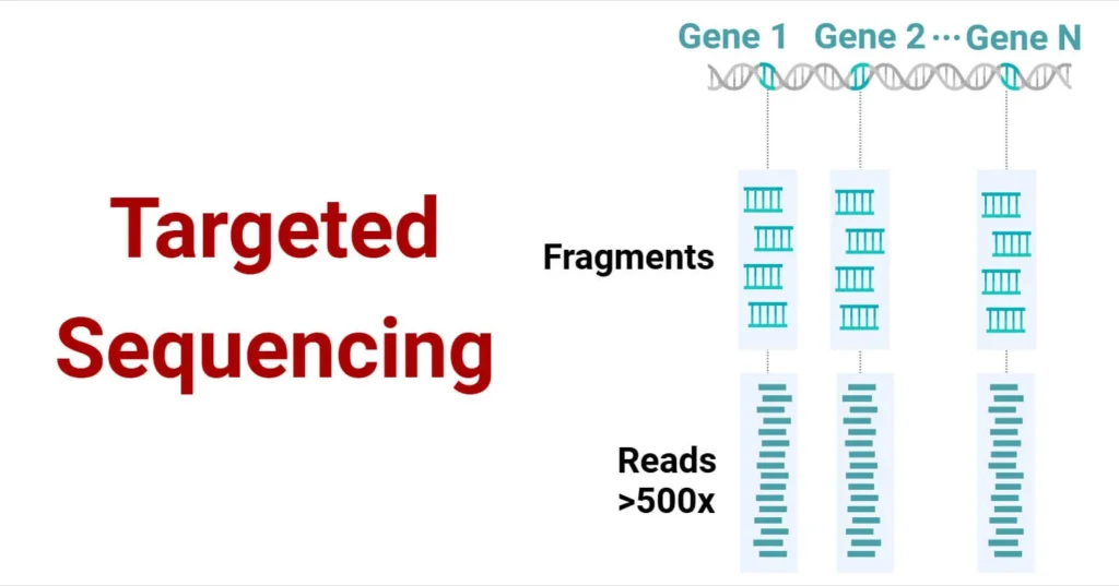 Targeted-Sequencing