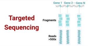 Targeted Sequencing: Principle, Steps, Methods, Uses, Diagram Targeted-Sequencing