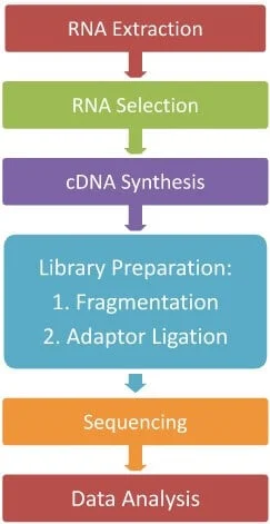 The-indirect-method-of-RNA-Sequencing