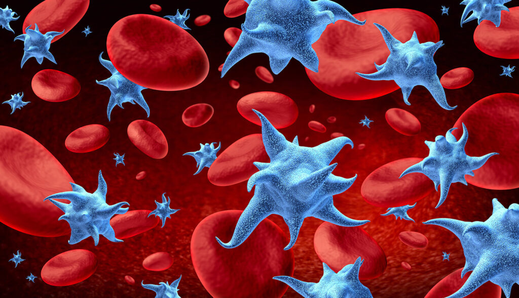 Blood Corpuscles: Types, Functions, and Characteristics - Bioteck Ink.