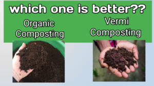 Difference Between Composting and Vermicomposting, Notes Difference Between Composting and Vermicomposting