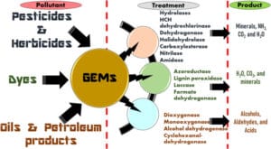 GMOs in Bioremediation: Applications, Advantages, Challenges, Concerns, Future Prospects, notes GMOs in Bioremediation Applications, Advantages, Challenges, Concerns, Future Prospects, notes