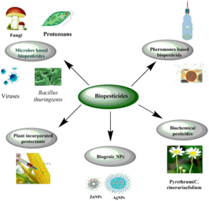 Biopesticides: Types, Advantages, Limitations, Applications, Notes Biopesticides: Types, Advantages, Limitations, Applications, Notes Types-of-biopesticides