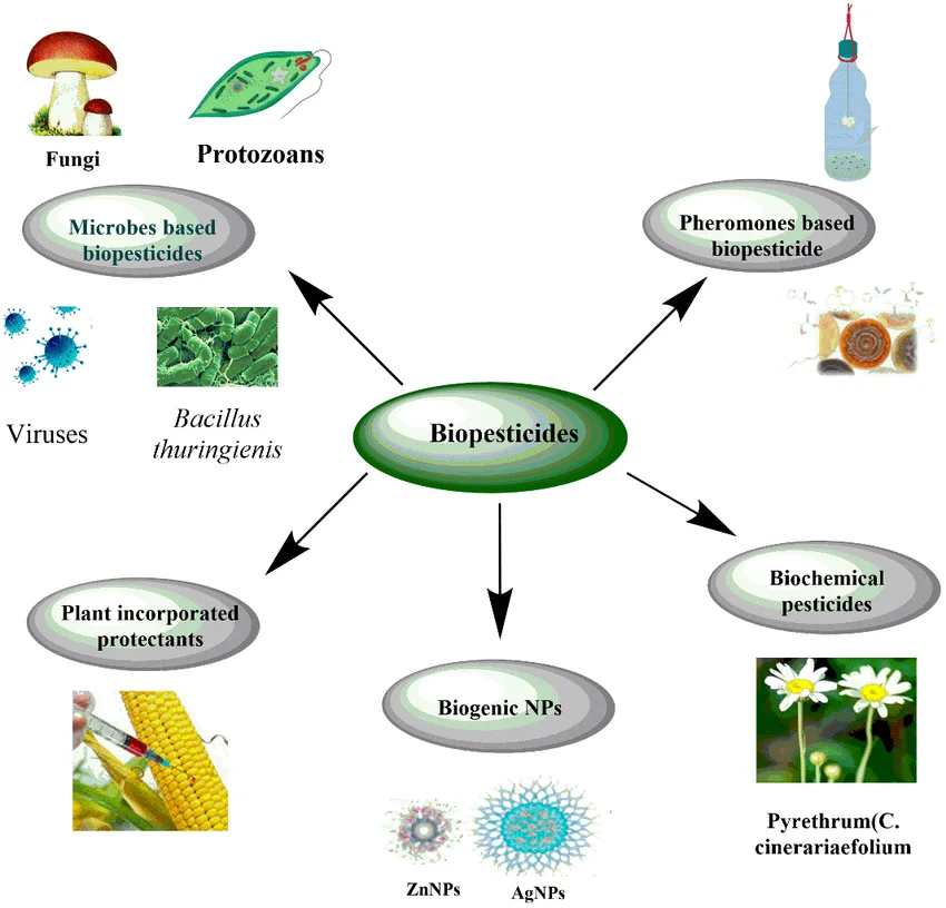 Biopesticides: Types, Advantages, Limitations, Applications, Notes Types-of-biopesticides