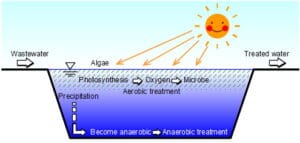 Wastewater Treatment Lagoons: Types, Mechanisms, and Applications, Notes Wastewater Treatment Lagoons: Types, Mechanisms, and Applications, Notes
