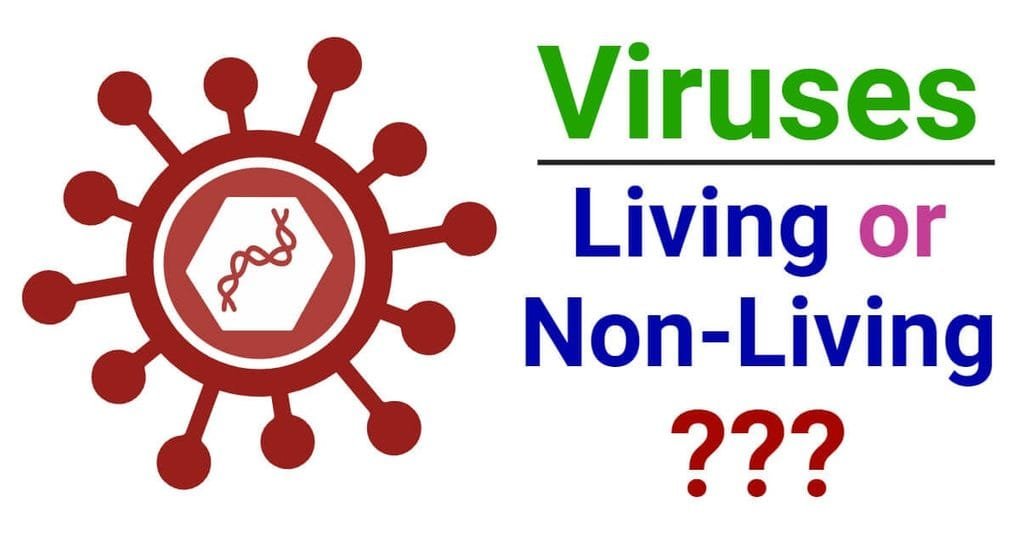 Are-Viruses-Living-or-Non-Living