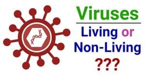 Are-Viruses-Living-or-Non-Living