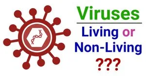 Are-Viruses-Living-or-Non-Living
