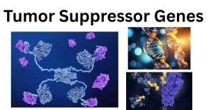 Tumor-Suppressor-Genes