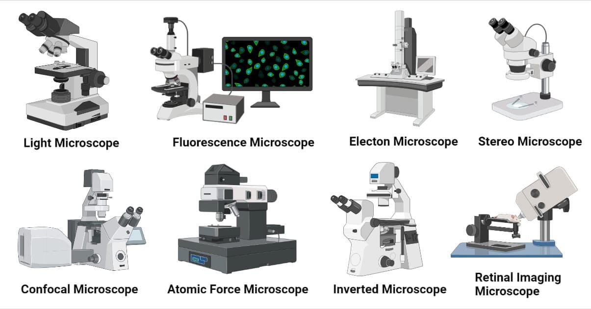 Types-of-Microscope