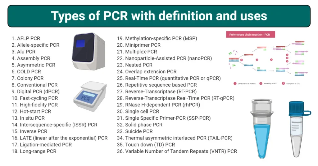 Types-of-PCR-Polymerase-chain-reaction-definition-and-uses