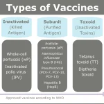Types-of-Vaccines