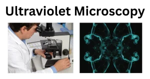 Ultraviolet (UV) Microscopy: Principle, Parts, Steps, Uses, Examples Ultraviolet-Microscopy