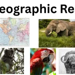 Zoogeographic Realms: Regions, Types, Features, Examples