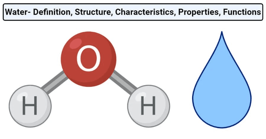 water molecule structure