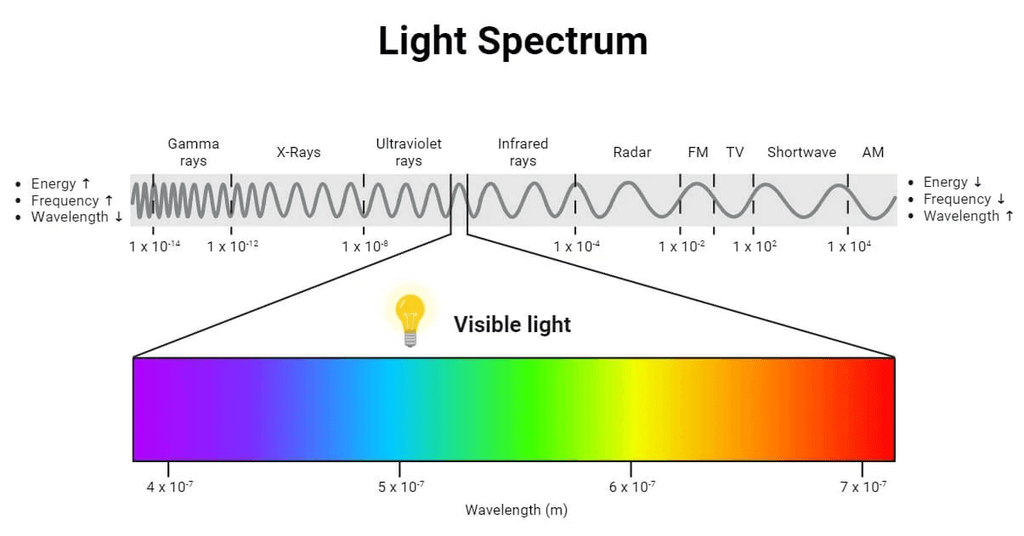 UV-Vis Spectroscopy: Principle, Parts, Uses, Limitations