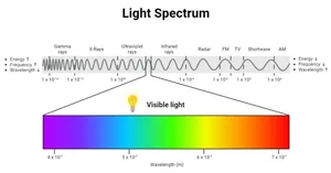 UV-Vis Spectroscopy: Principle, Parts, Uses, Limitations