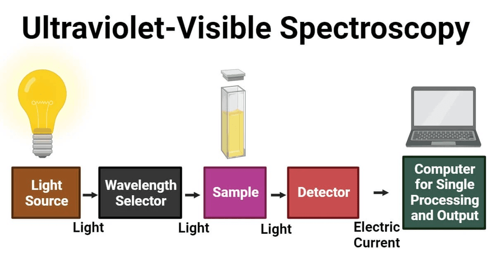 UV-Vis Spectroscopy: Principle, Parts, Uses, Limitations