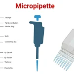 Micropipette-1024x536