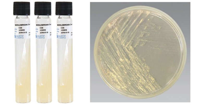 Middlebrook-Agar-768x403