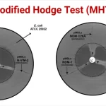 Modified-Hodge-Test-MHT-1024x536