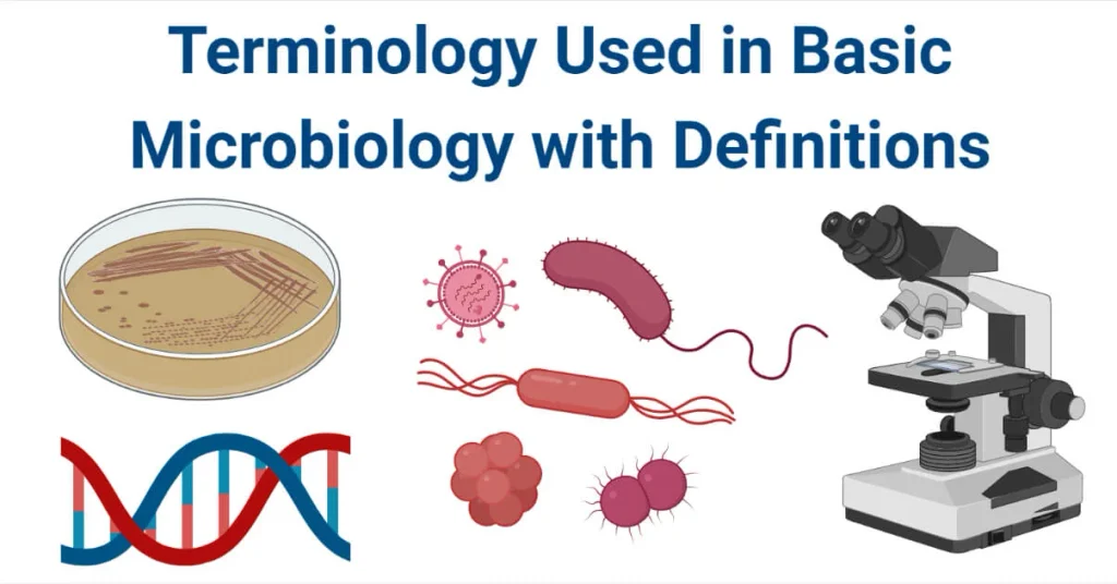 Terminology-Used-in-Basic-Microbiology