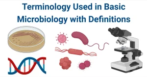 Microbiology Terms and Terminology with Definitions Terminology-Used-in-Basic-Microbiology
