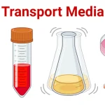 Transport-Media