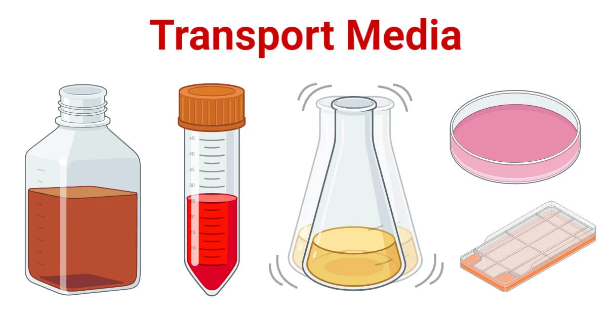 Transport-Media